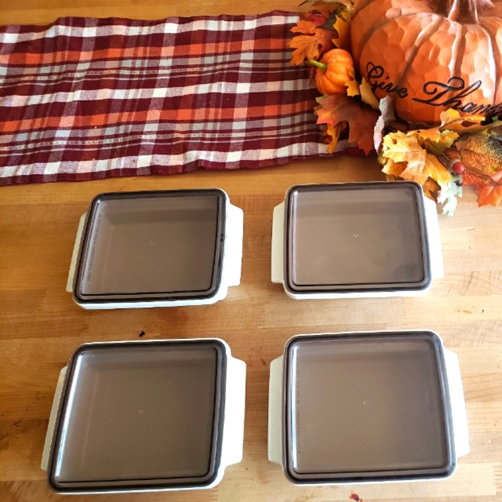 4 piece stackable Fridge-to-Oven food storage containers